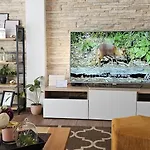 Dalmare Apartment